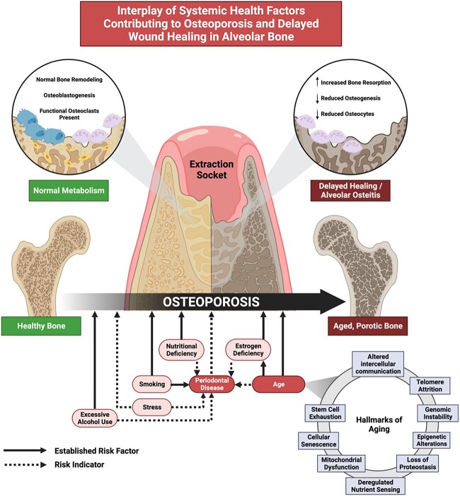 Graphical Abstract