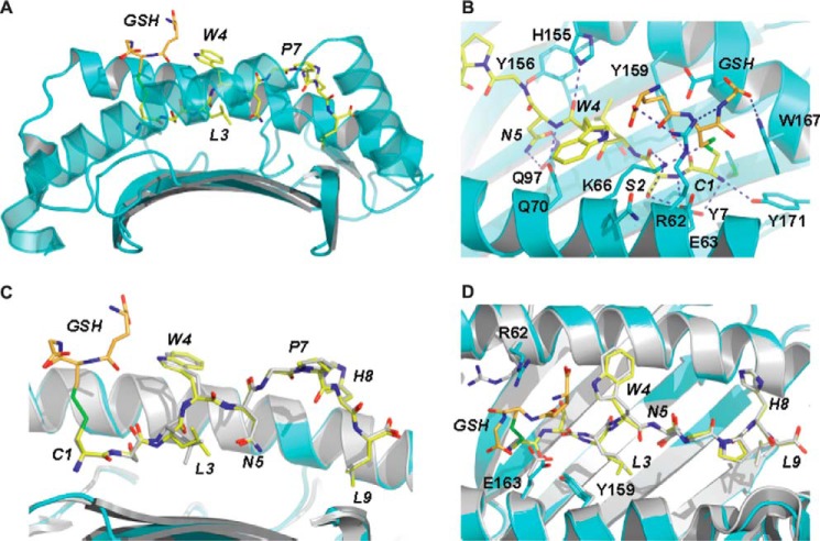 FIGURE 5.