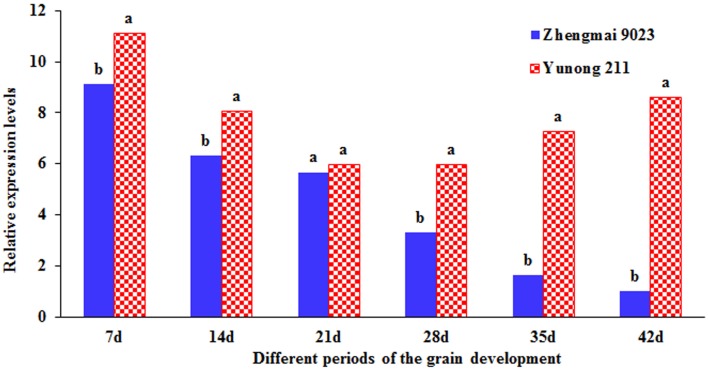 Figure 4