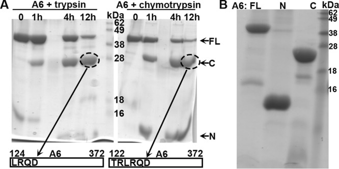 FIG 6