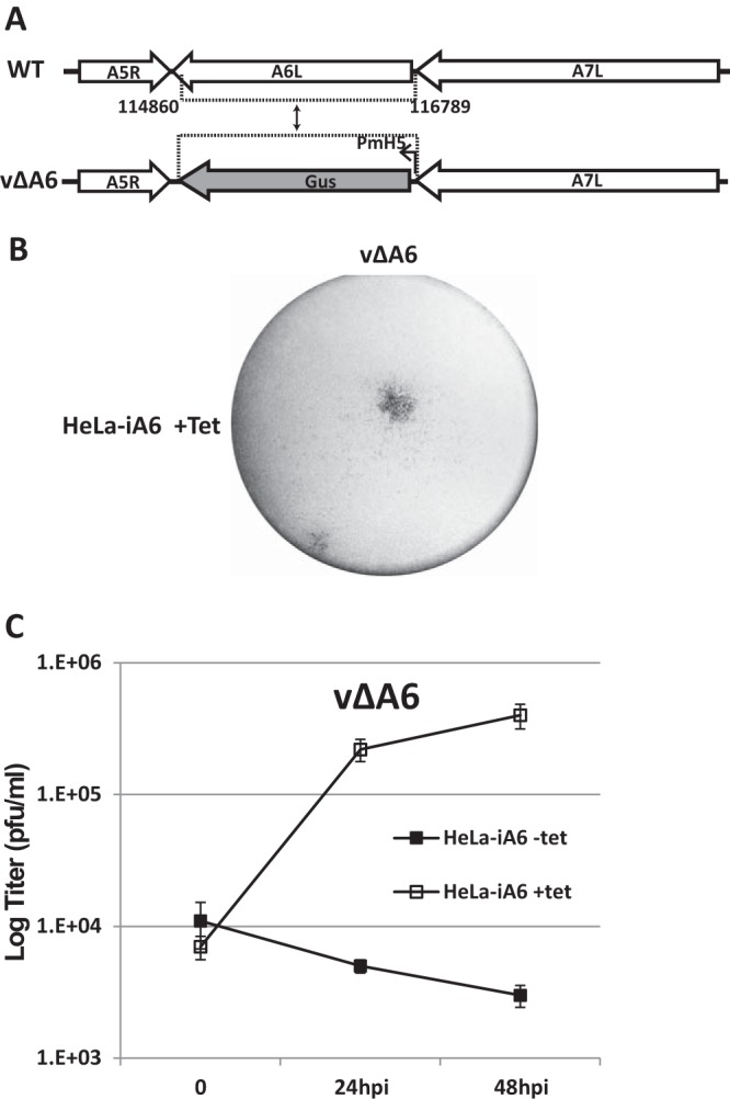 FIG 2