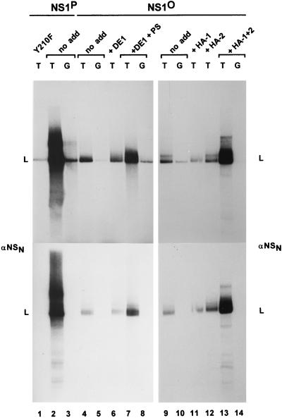 FIG. 5