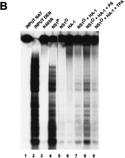 FIG. 8