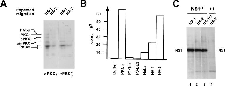 FIG. 7