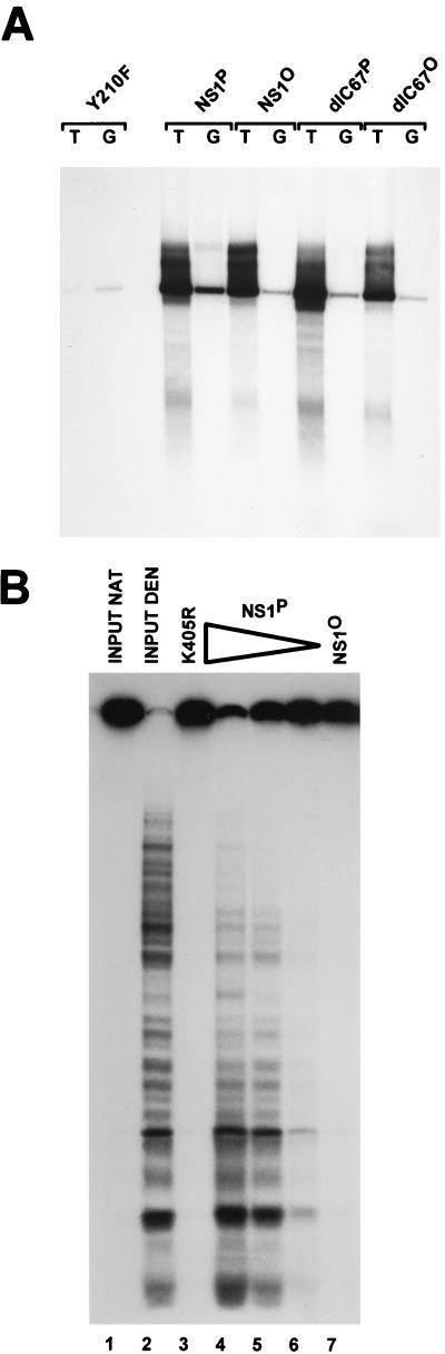 FIG. 1