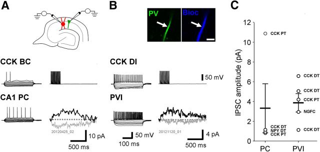 Figure 5.