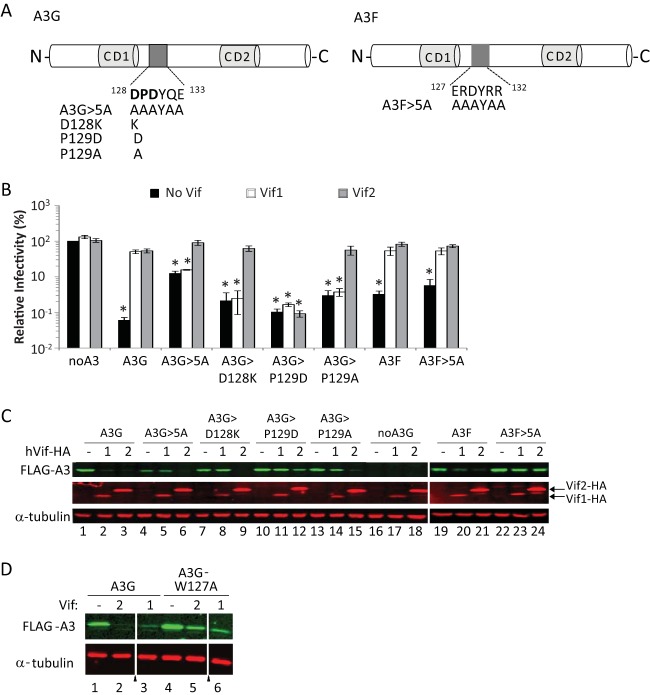 FIG 6