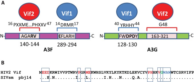 FIG 9