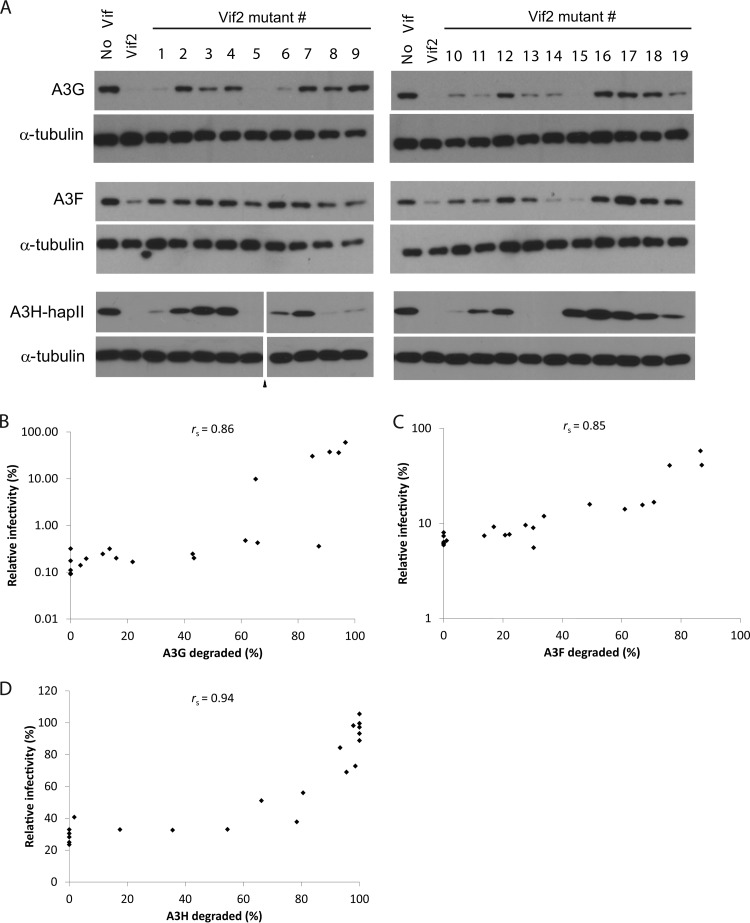 FIG 3