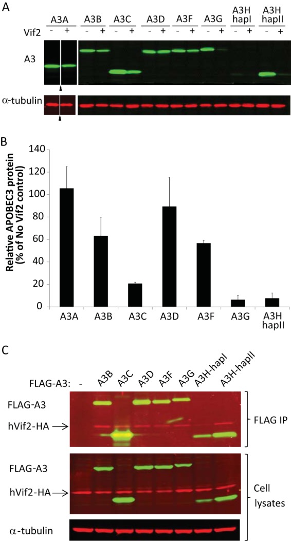 FIG 1