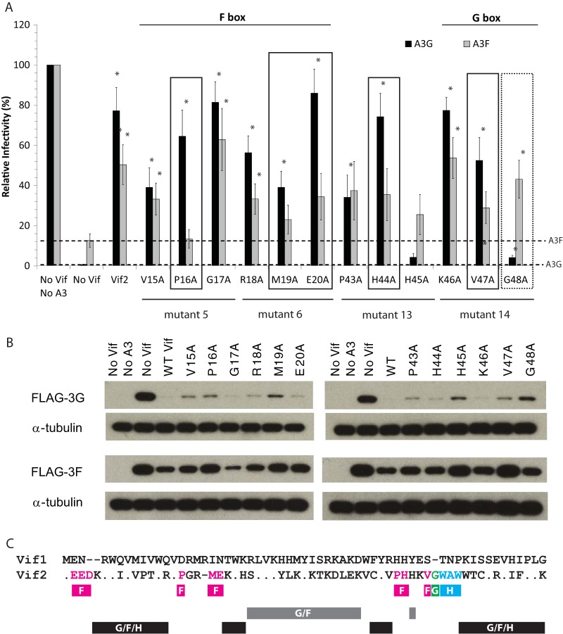 FIG 4