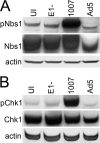 Fig 4