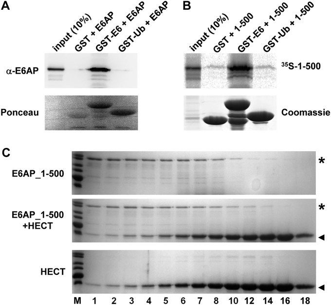 Fig. S6.