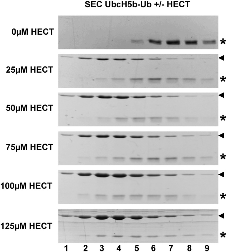 Fig. S3.