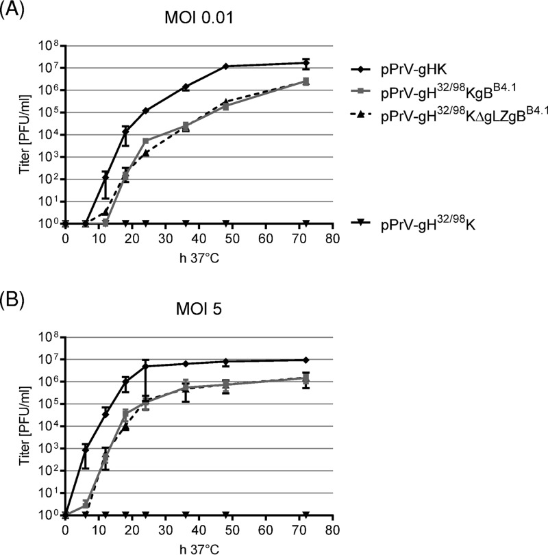 FIG 6