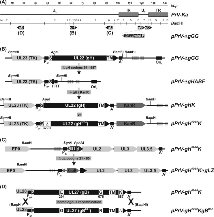 FIG 1