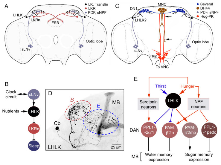 Figure 10