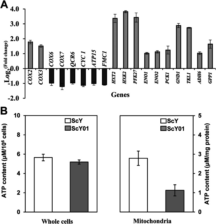 Fig 3