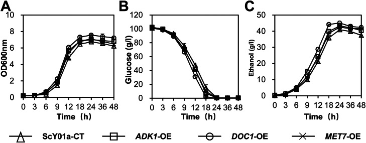 Fig 7