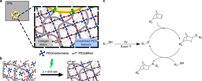 Figure 1: