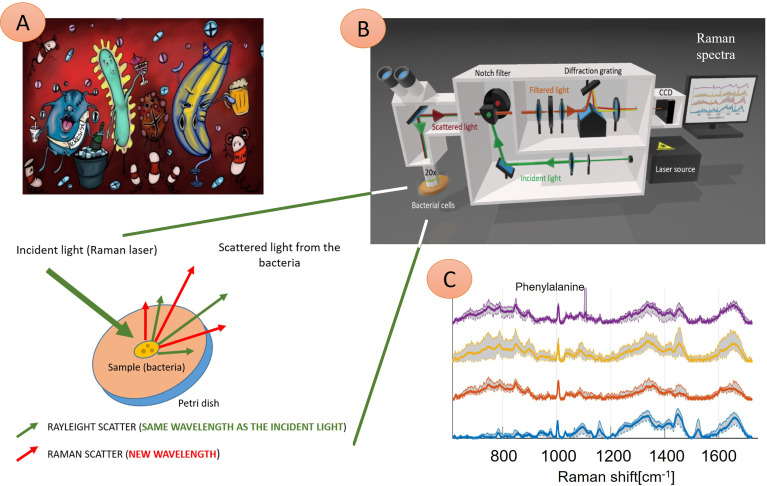 Figure 1