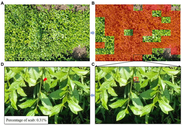 Figure 13