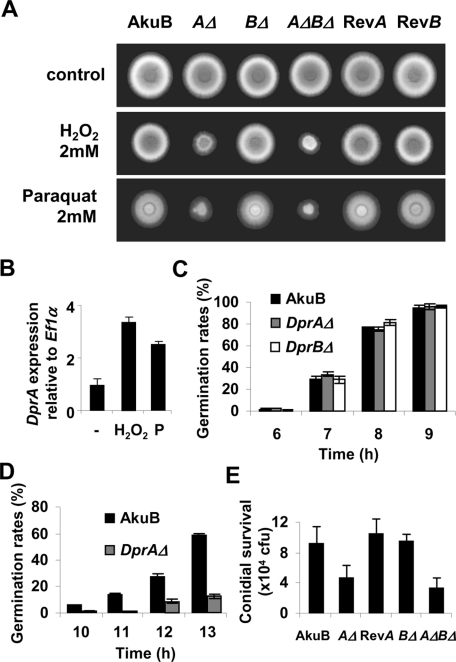 FIGURE 3: