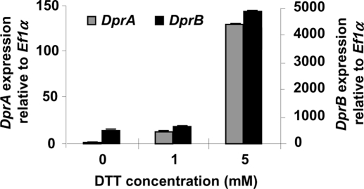 FIGURE 7: