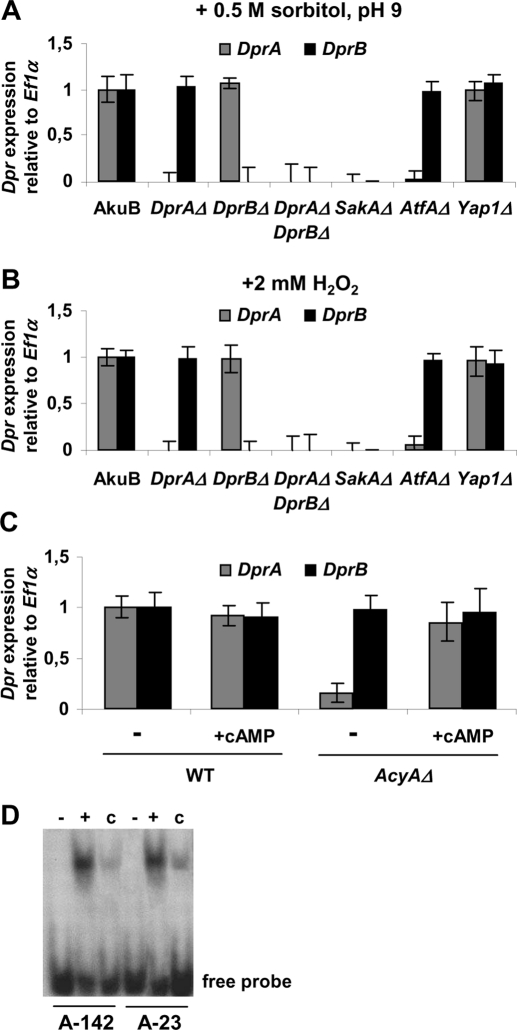 FIGURE 6: