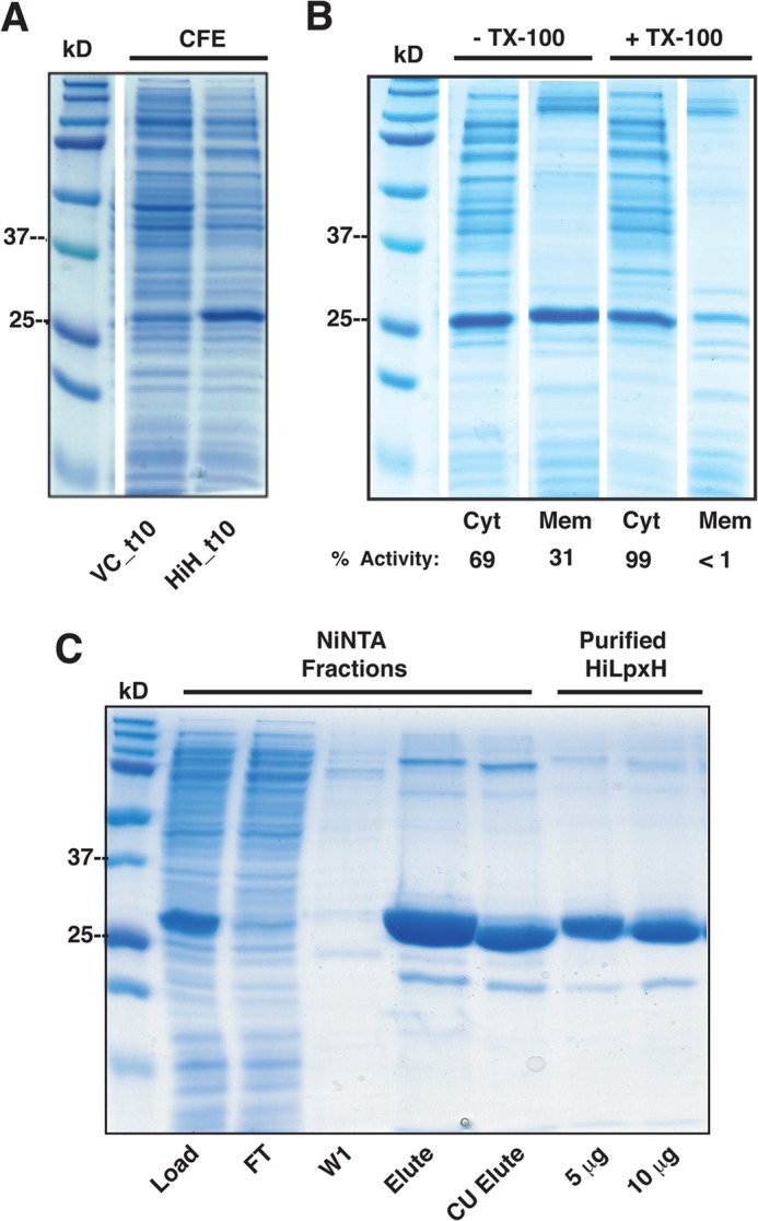 FIGURE 2.