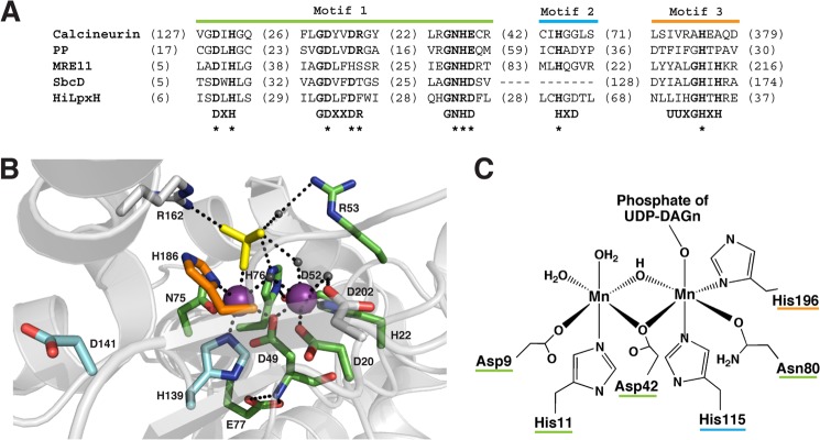 FIGURE 9.