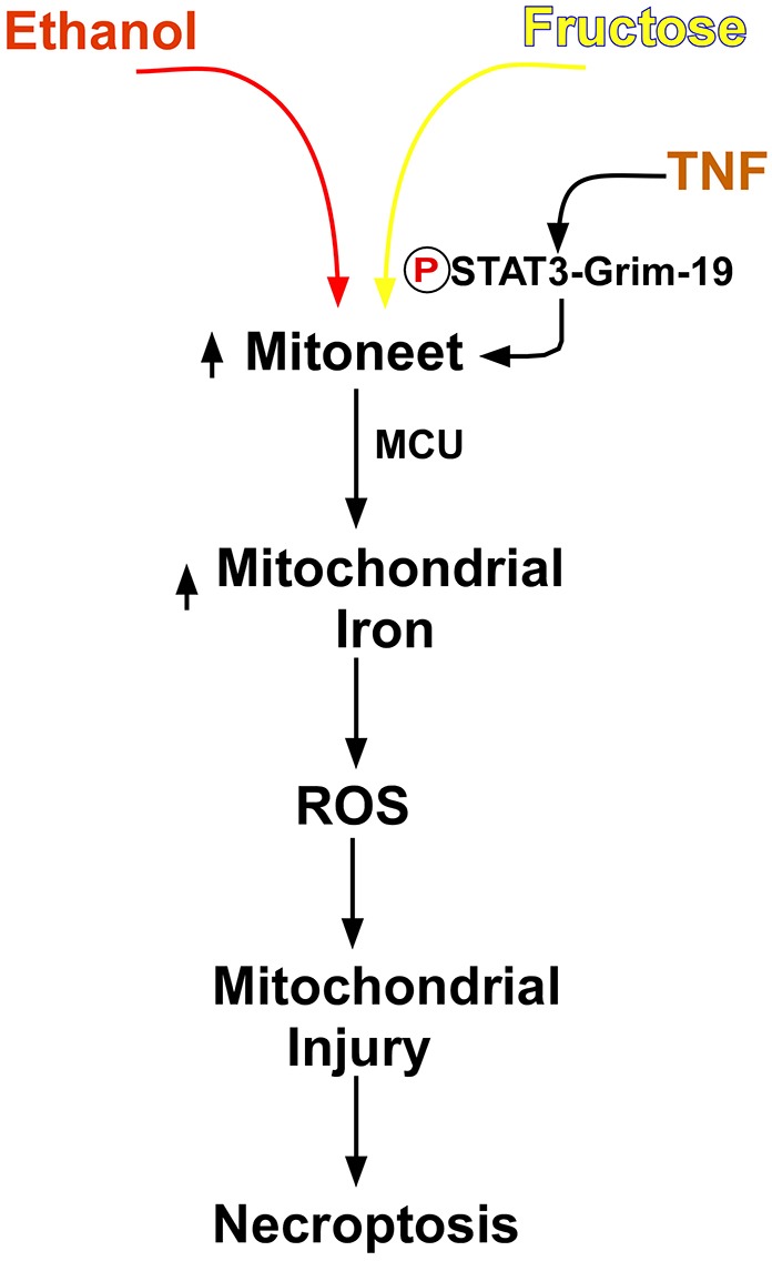 Fig. 7.