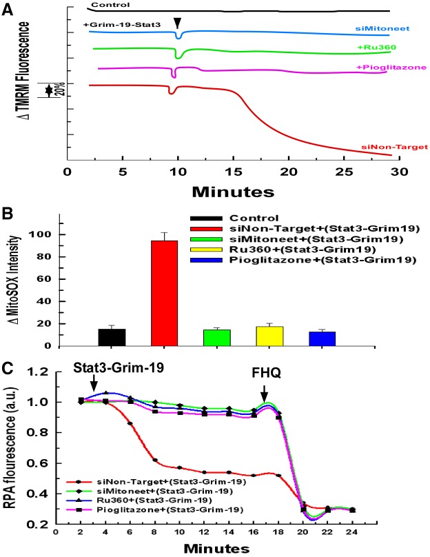 Fig. 6.