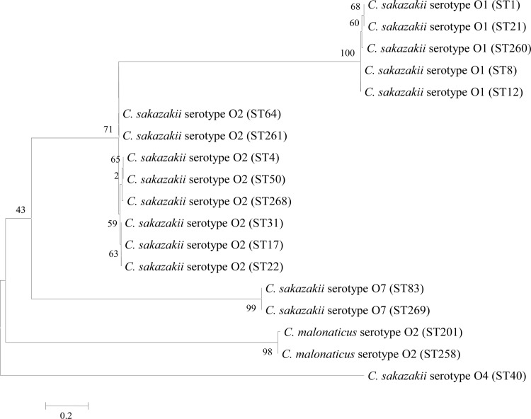 FIG 3