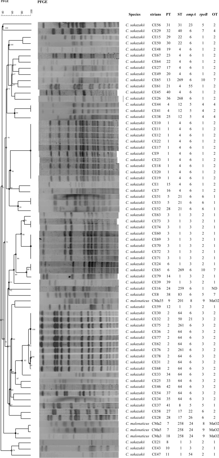 FIG 2