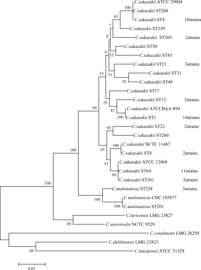 FIG 1