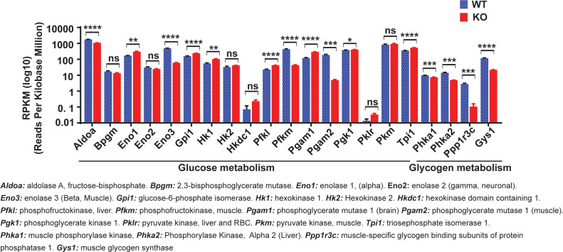 Figure 7—figure supplement 2.