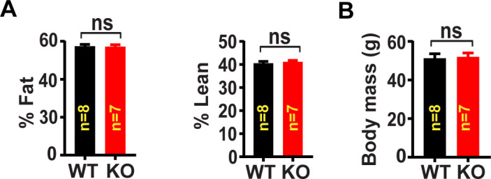 Figure 8—figure supplement 1.