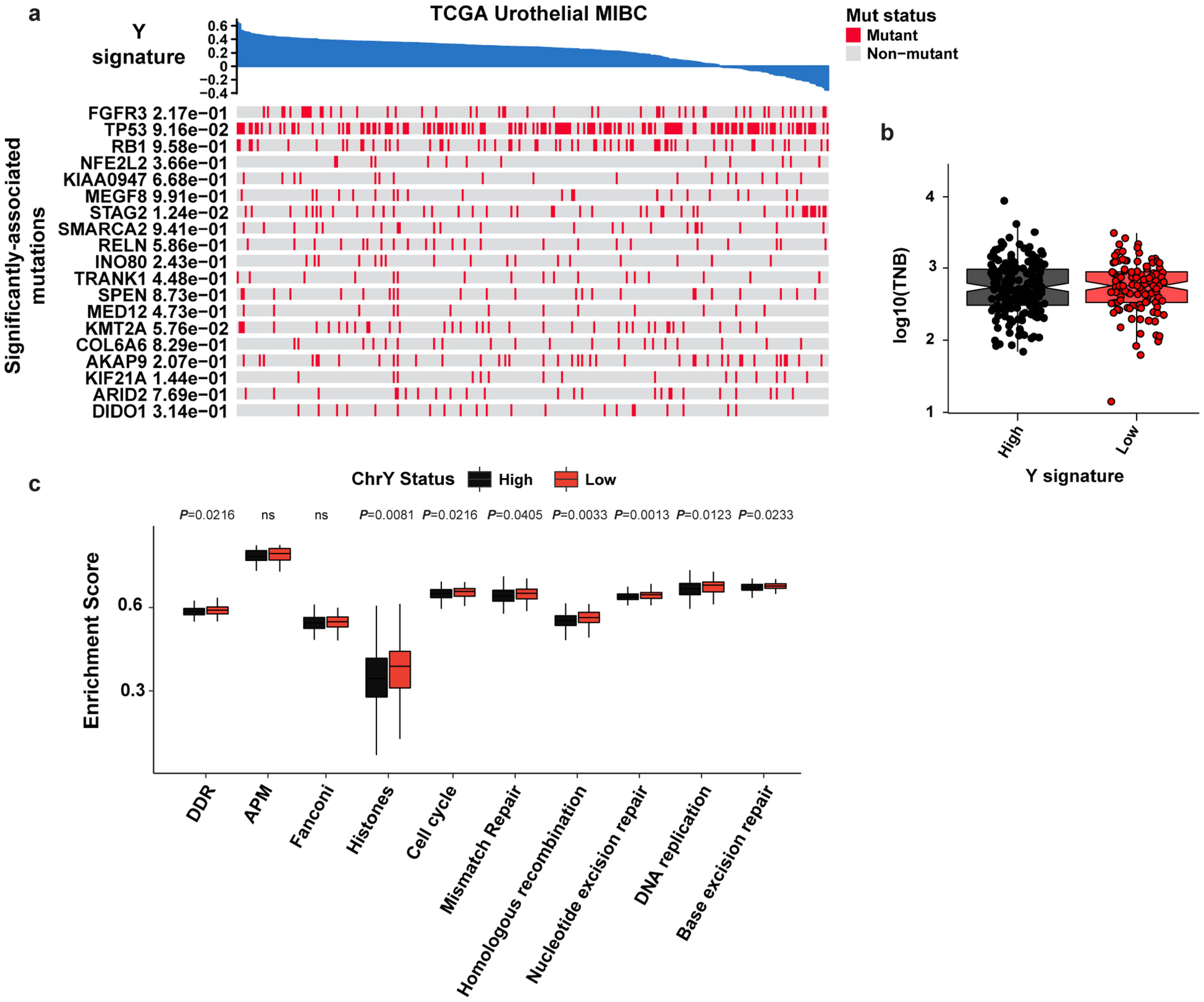 Extended Data Fig. 8 |