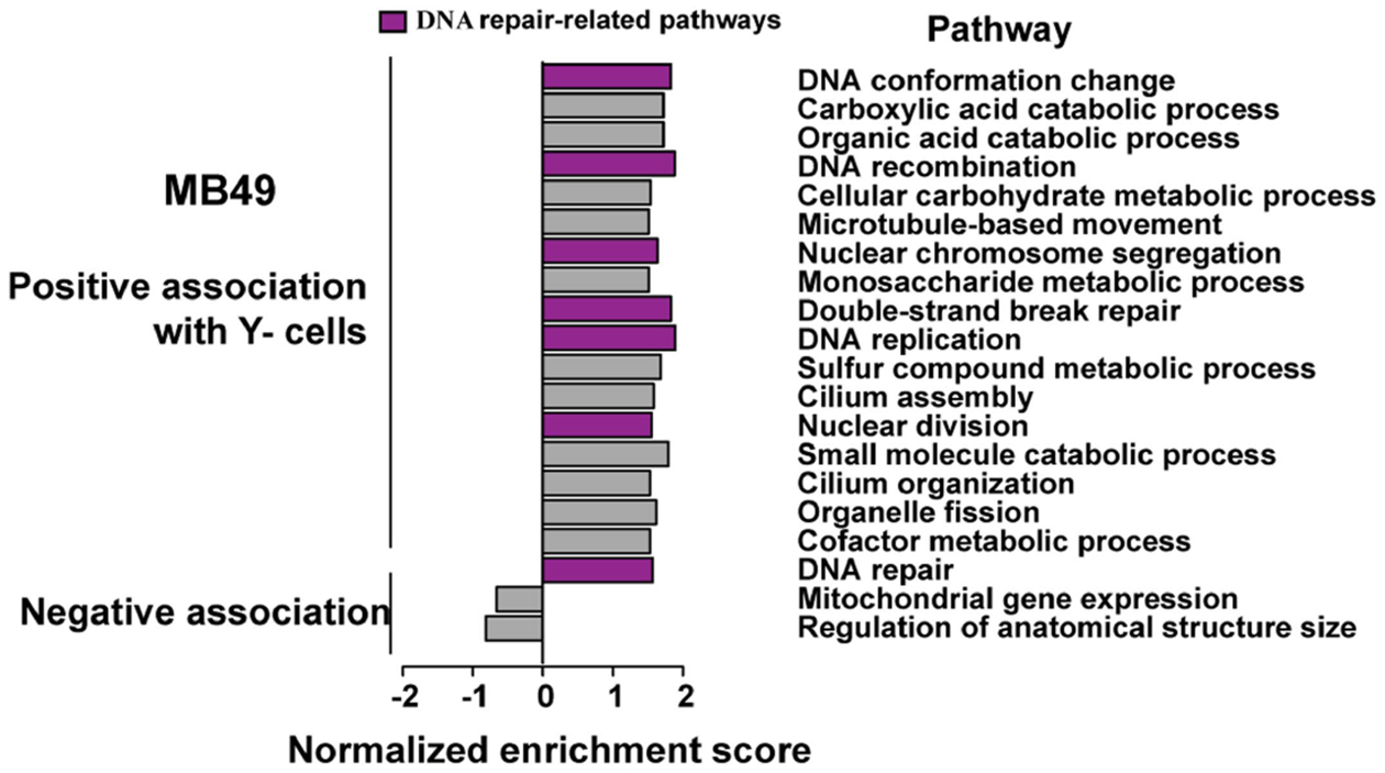 Extended Data Fig. 9 |