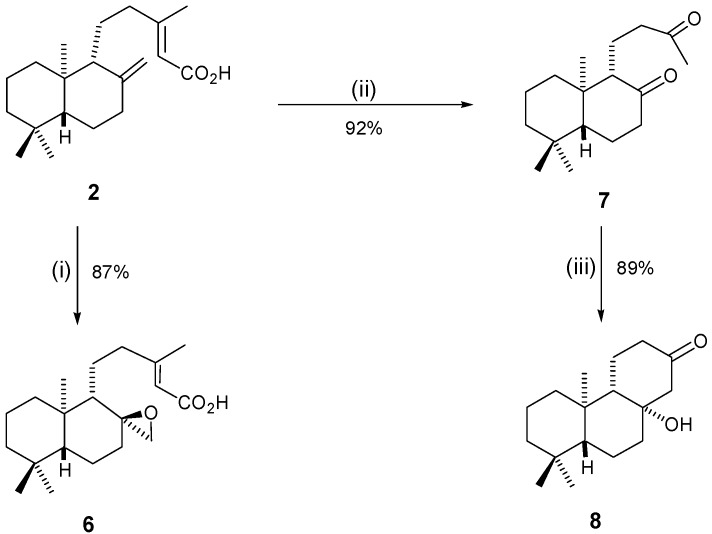 Scheme 2