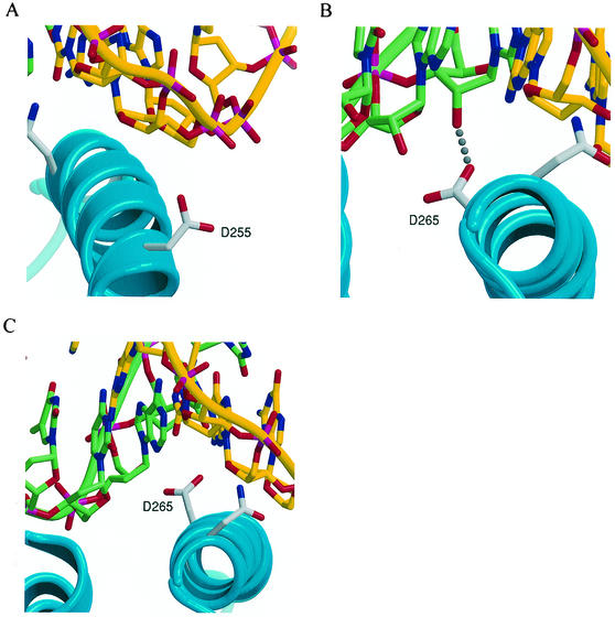 FIG. 4.