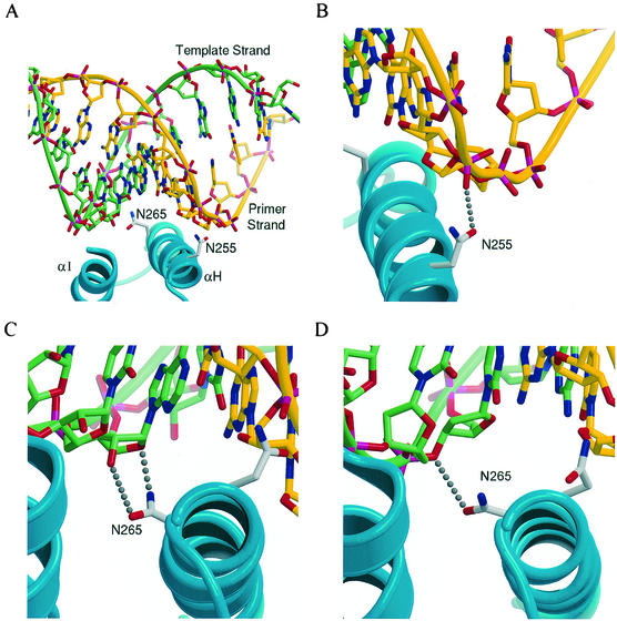 FIG. 3.