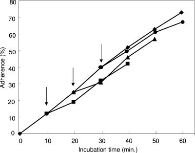 FIG. 3.