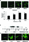 Figure 7-6931