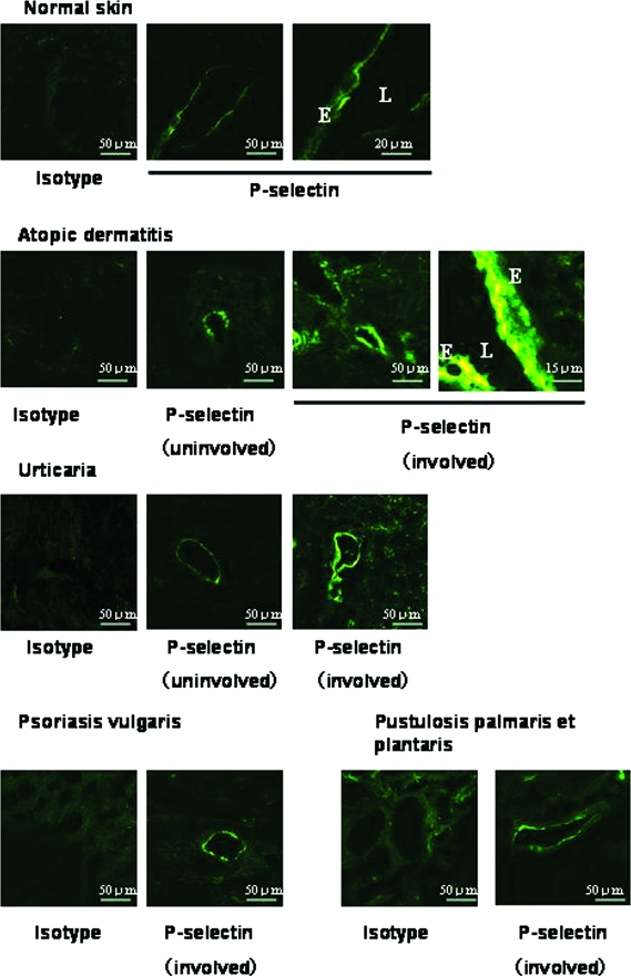 Figure 2-6931