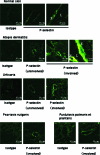 Figure 2-6931