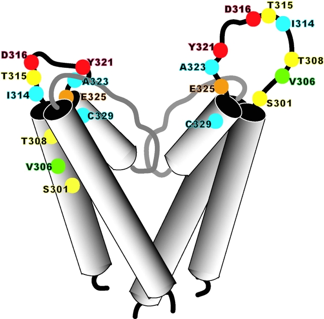 Figure 11. 