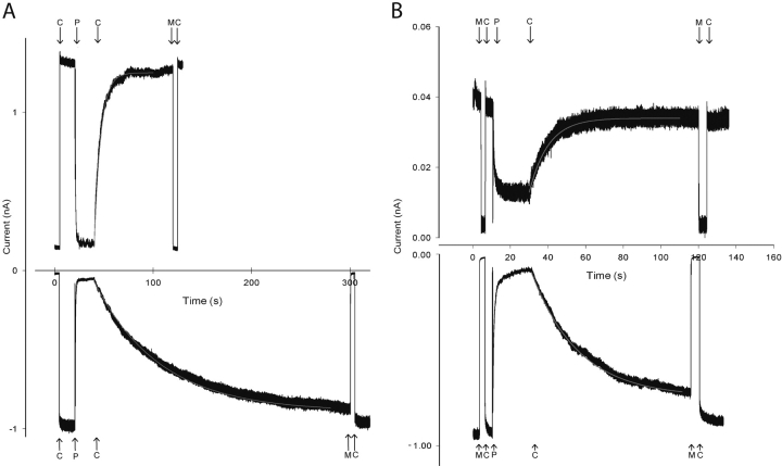 Figure 9. 