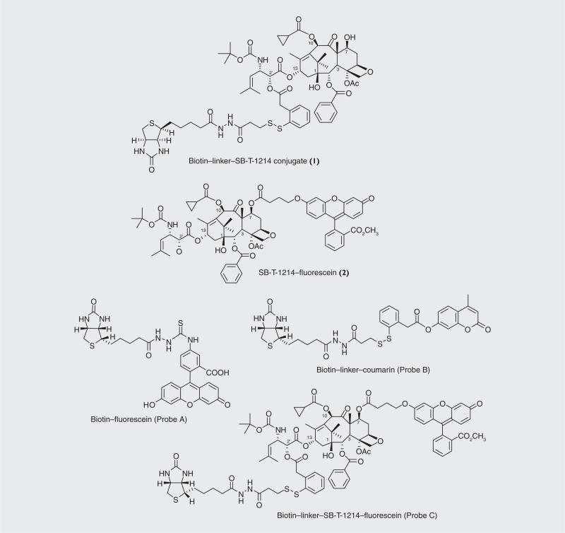 Figure 10